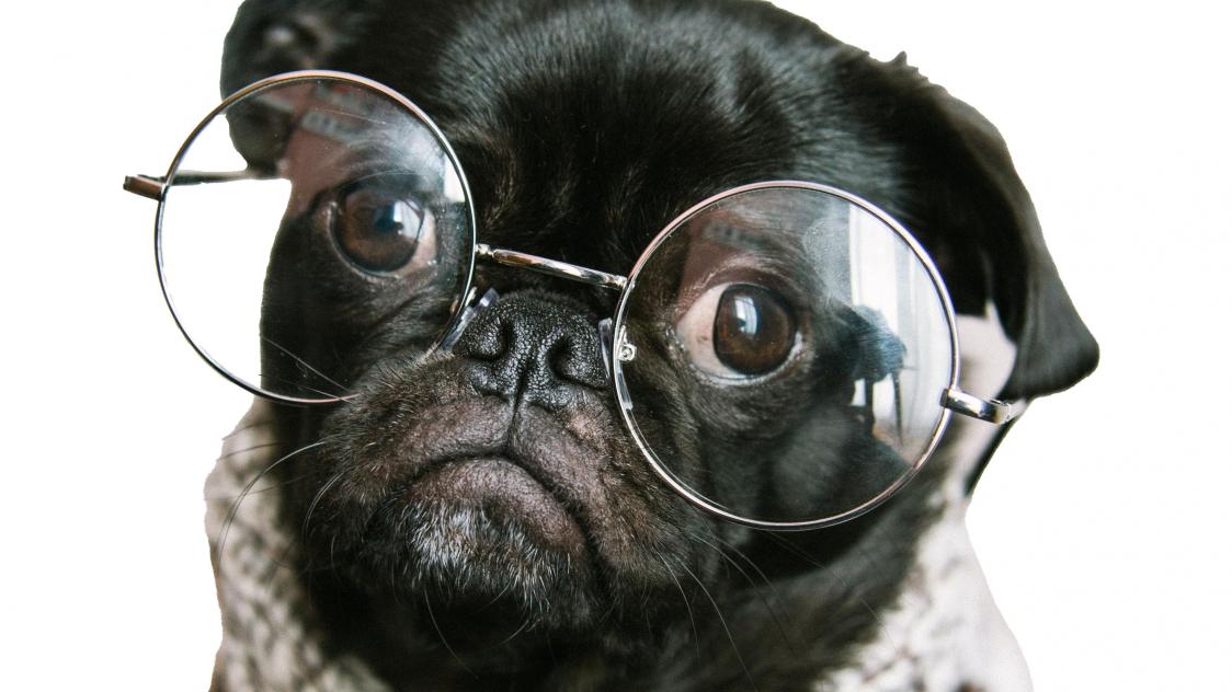 charlesdeluvio-pOUA8Xay514-unsplash_det