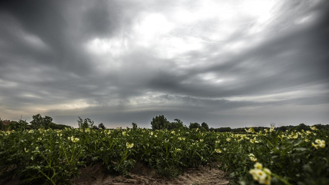 Belgaimage-70367490