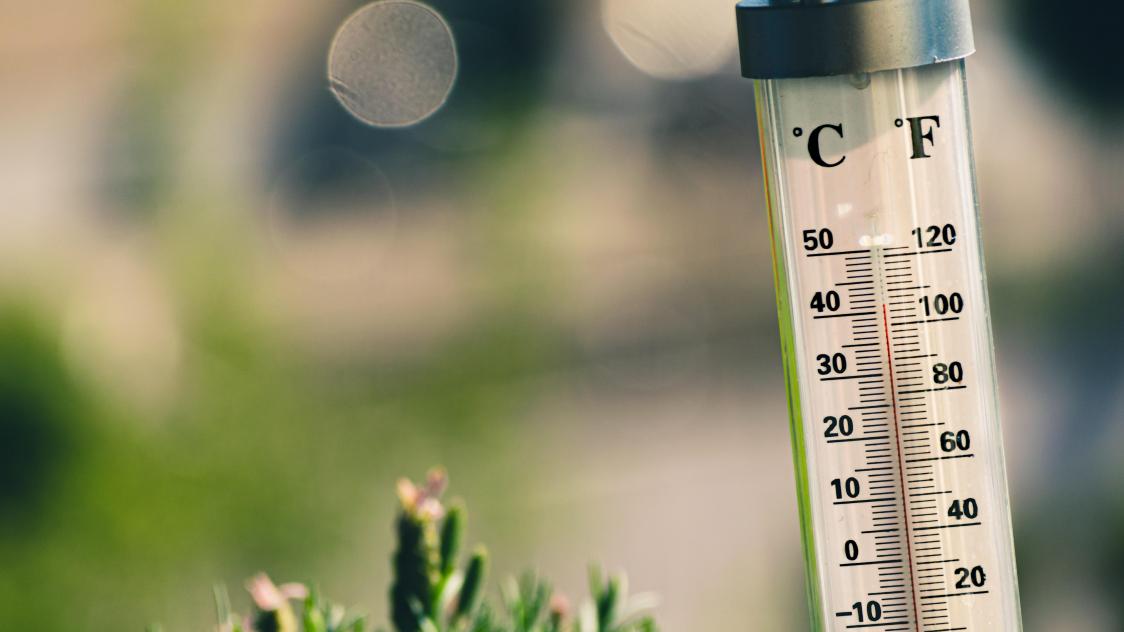 jaroslaw-kwoczala-ynwGXMkpYcY-unsplash