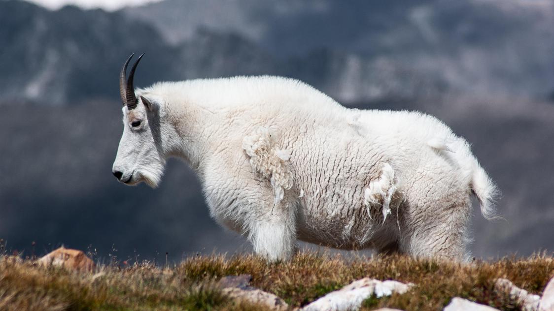 jj-shev-0MRYdypDmk8-unsplash