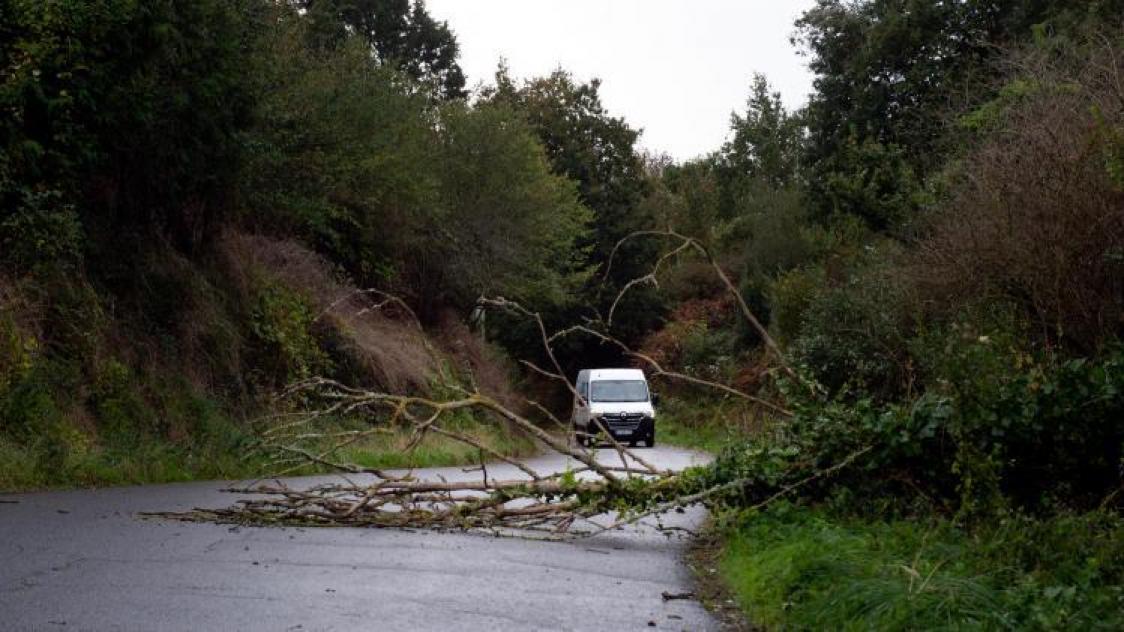 B9735399335Z.1_20231102151006_000+G8MNO74FA.1-0