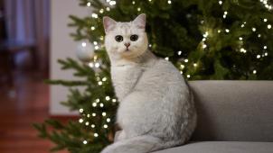 yoonjae-baik-TTu1oORzzT0-unsplash