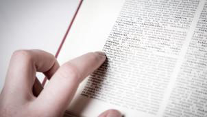 belgaimage-45962500-full