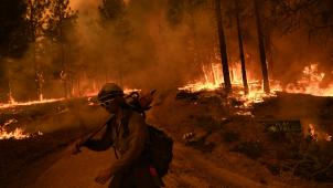 BELGAIMAGE-181915332