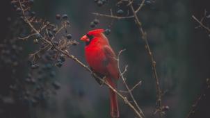 timothy-dykes-_aNtQKnffAA-unsplash