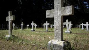 belgaimage-164643069-full