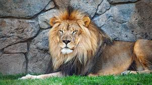 robert-thiemann-T1rGLeImYYA-unsplash