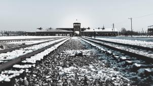 erica-magugliani-K2ZGh2XabNo-unsplash