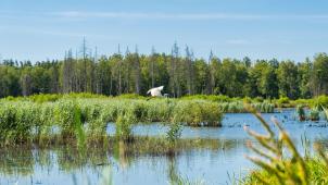 coralie-meurice-GBMqhvHuuu4-unsplash