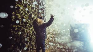 Plantentuin winterfloridylle-127©Plantentuin Meise