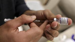 BELGAIMAGE-185781386