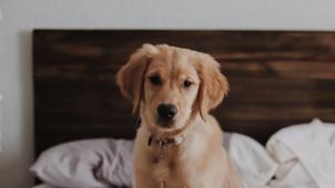 amy-humphries-AllEP6K_TAg-unsplash