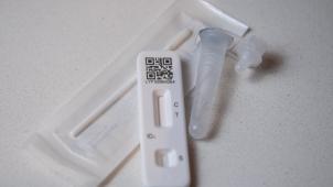 BELGAIMAGE-185516777