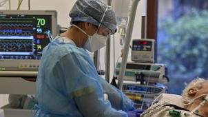 belgaimage-185263225-full