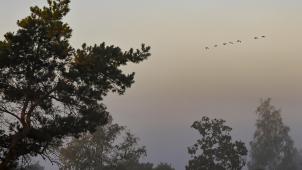 belgaimage-168326050-full