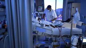 BELGAIMAGE-185754677