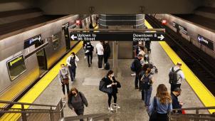 BELGAIMAGE-184012508