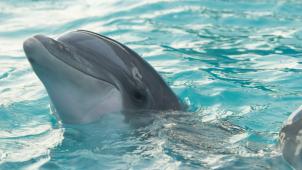 louan-garcia-Xsq5ie5f498-unsplash