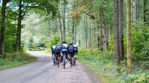 martin-magnemyr-nGt71kRwUOw-unsplash