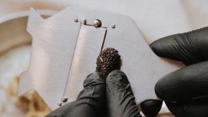 klara-kulikova-RD0FL_V91NY-unsplash