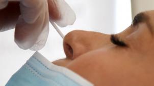 BELGAIMAGE-186574348