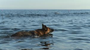 pavel-ivanov-YD2OkzdYseQ-unsplash