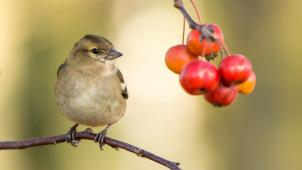 vincent-van-zalinge-_d0zgyMmYT8-unsplash