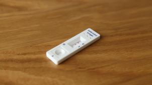 eran-menashri-fd_eJGXvmtk-unsplash