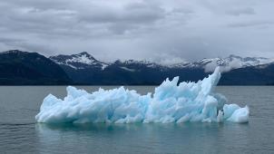 melissa-bradley-96iwiAxOuJw-unsplash