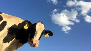 ryan-song-0ZN-fZOyV7c-unsplash