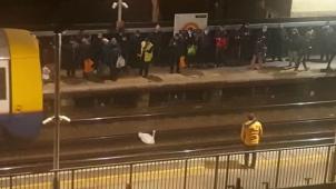 272689810_4721414957948779_4690930684567859330_n