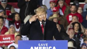 BELGAIMAGE-186972716