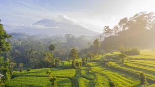 geio-tischler-7hww7t6NLcg-unsplash