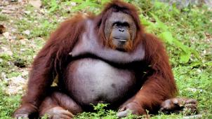 pexels-jeffrey-eisen-7176750