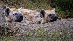 david-clode-a3iIUJcKXOI-unsplash