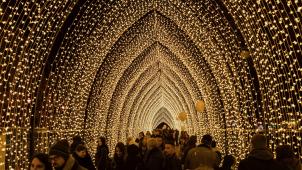 belgaimage-145609975-full