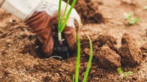 markus-spiske-ZSZ6wzNU12Q-unsplash