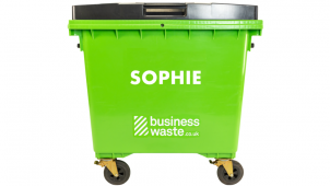 bin-sophie-1024x683