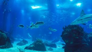 jakub-dziubak-Ta5II09WSrA-unsplash