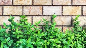 the-dancing-rain--r3ouS2dv5E-unsplash