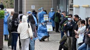 BELGAIMAGE-187735872