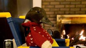 261815064_138942565158691_2022095675747893341_n