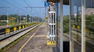 belgaimage-166903949-full