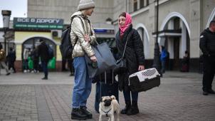 BELGAIMAGE-188167023