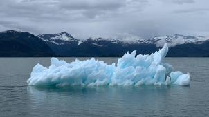 melissa-bradley-96iwiAxOuJw-unsplash