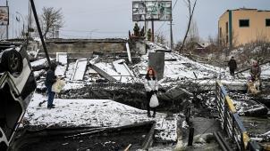 BELGAIMAGE-188417523