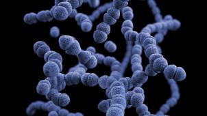 cdc-QEU-QgIOJKA-unsplash