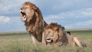 pexels-iurii-ivashchenko-3498323