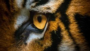 ralph-mayhew-EiGBmms-alk-unsplash