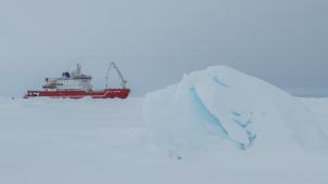 BELGAIMAGE-188794193